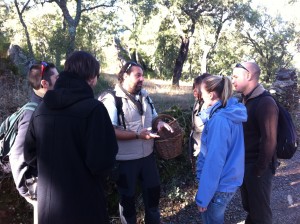 Chestnut trees in the fall and a group of walkers in the Sierra